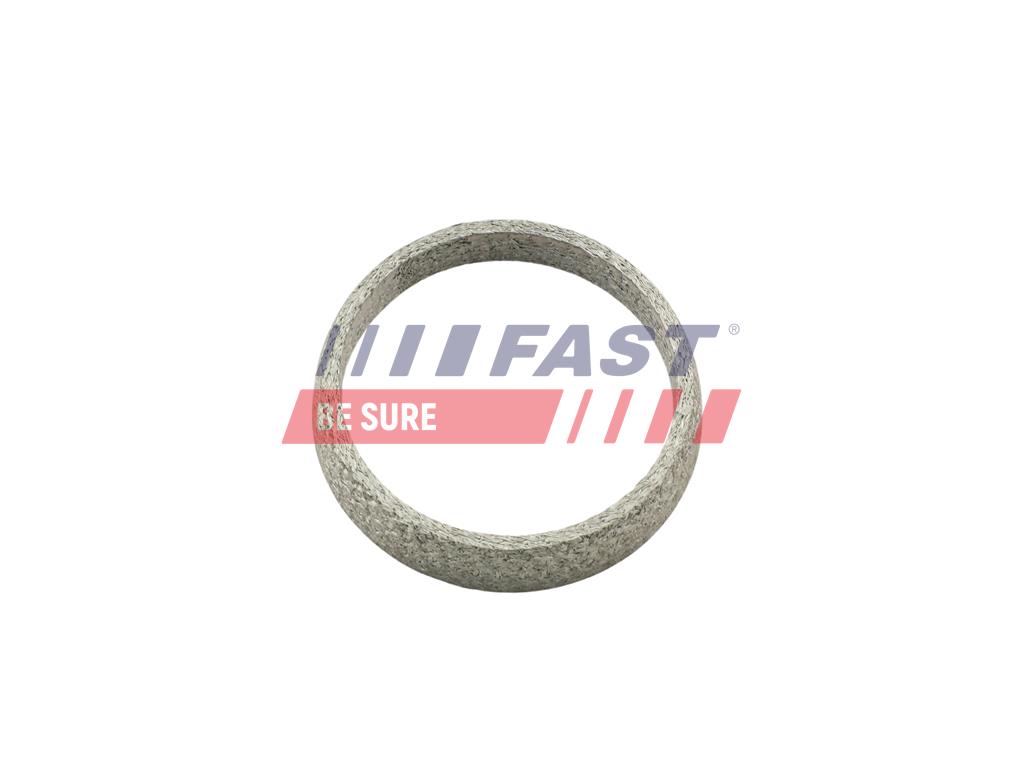 FT84823 TĚSNĚNÍ VÝFUKU FIAT DUCATO 06> PRSTEN 66 x 79 x 14,5