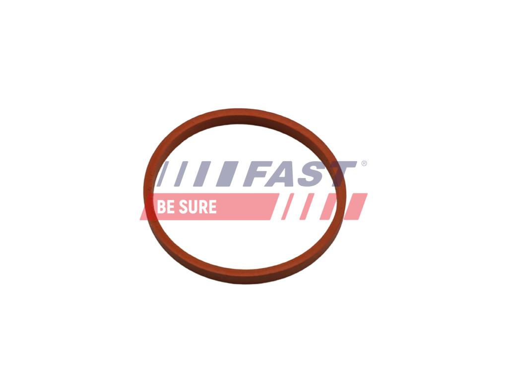 FT48932 USZCZELKA  RENAULT KANGOO II 08> RURA TURBINY