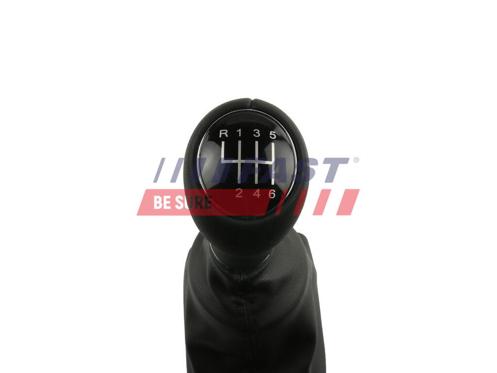 FT09043 POMO DE CAJA DE CAMBIOS AUDI A4 B8 07> B8