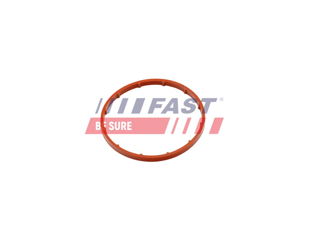 FT50701 VACUUM PUMP SEAL GASKET CITROEN BERLINGO 96> 2.0HDI/2.2HDI