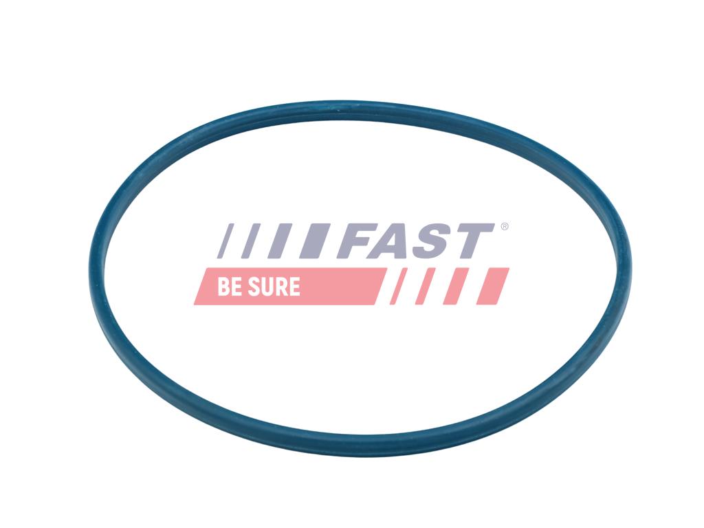 FT48504 ПРОКЛАДКА ТОПЛИВНОГО НАСОСА FIAT DUCATO 06> БАК ТОПЛИВНЫЙ УПЛОТНИТЕЛЬНОЕ КОЛЬЦО
