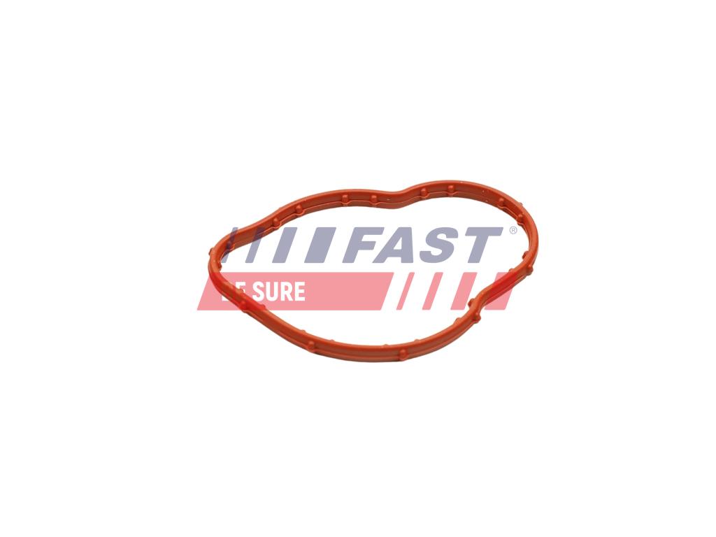 FT58305 JOINT D`ÉTANCHÉITÉ, THERMOSTAT RENAULT KANGOO II 08> 1.5 DCI