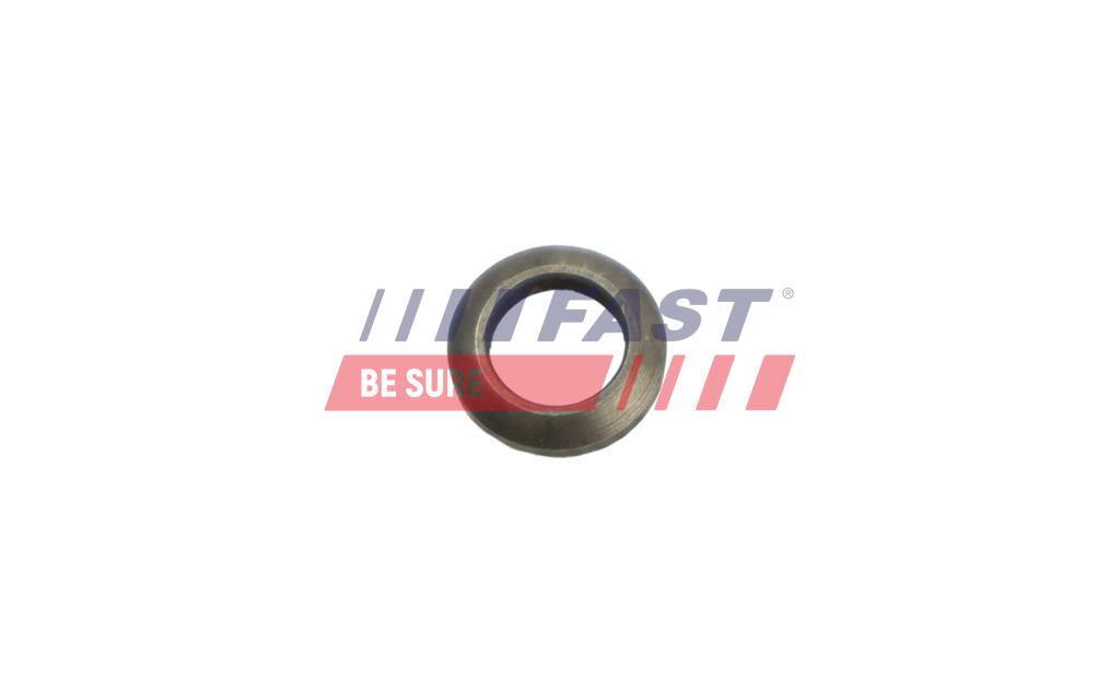 FT53851 ПОДКЛАДКА FIAT DUCATO 06>/ 14> ВИНТ ВПРИСКИВАТЕЛЯ 2.3 / 3.0 JTD