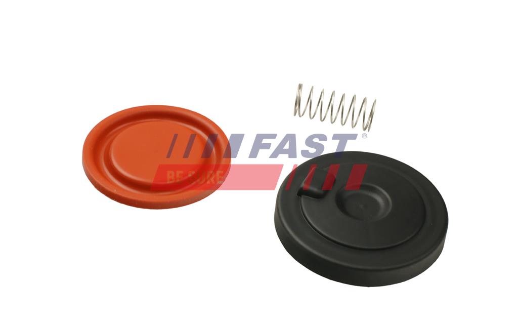 FT60106 OIL BREATHER RENAULT KANGOO II 08> REPAIR SET 1.5 DCI