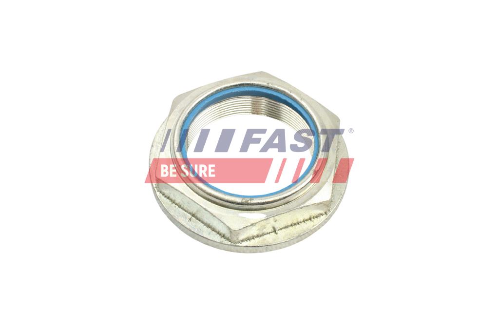 FT26041 ГАЙКА СТУПИЦІ FORD TRANSIT 06> ЗАД ПР