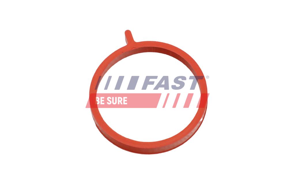 FT48964 USZCZELKA  FIAT DOBLO 09> RURA TURBINY 1.6 JTD 16>