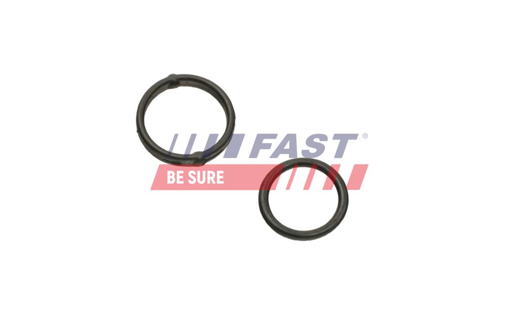 FT38804 OIL PUMP GASKET FIAT DOBLO 09> SET