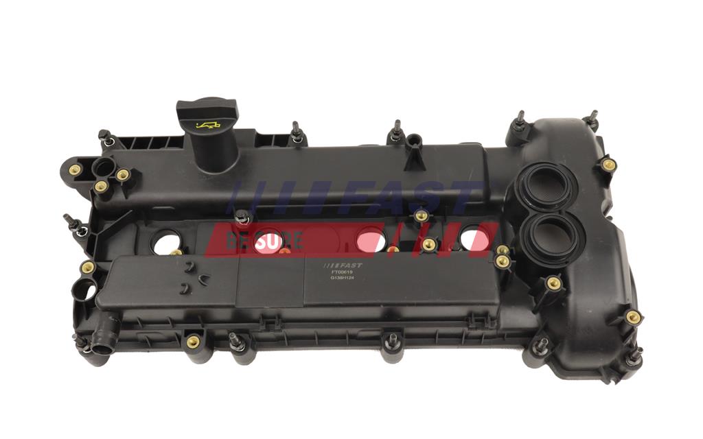 FT00619 COPERCHIO VALVOLE FORD GALAXY II 06> 2.0 ECOBOOST