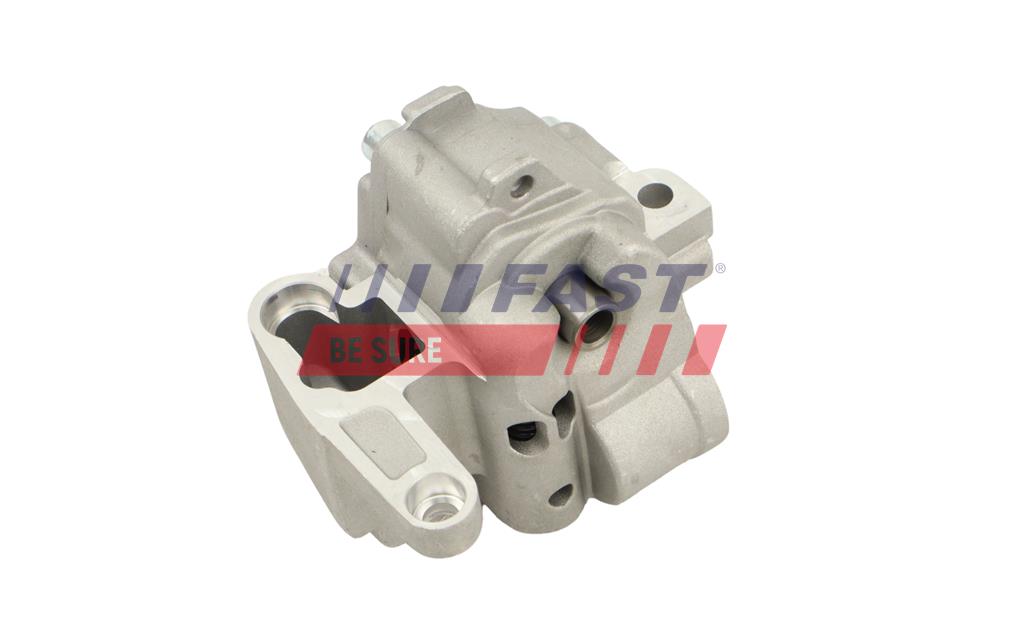 FT00719 НАСОС МАСЛЯНЫЙ VW PASSAT B6 05> M6X1