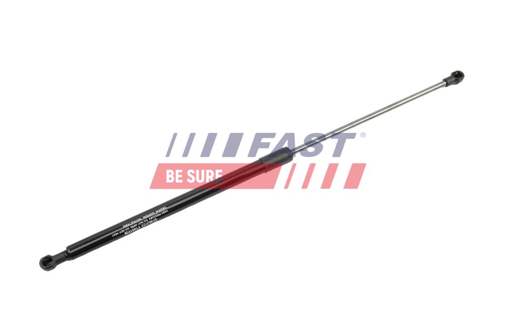 FT00193 MOLLA A GAS RENAULT SCENIC II 03> BAGAGLIAIO SX/DX 534MM / 480N