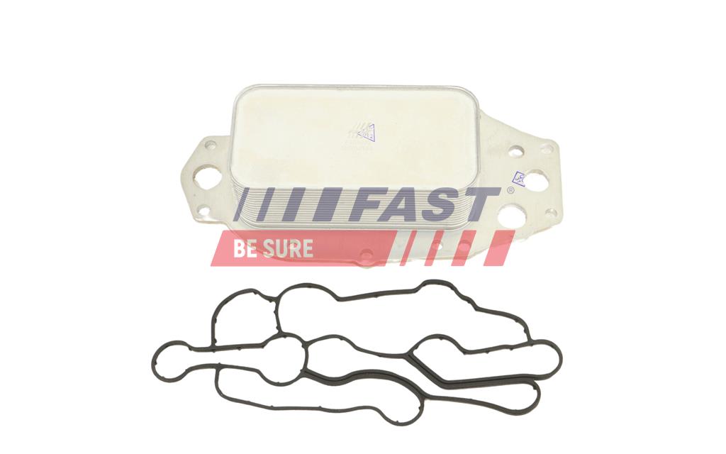 FT01033 CHLADIČ OLEJOVÝ CITROEN C5 III 08>