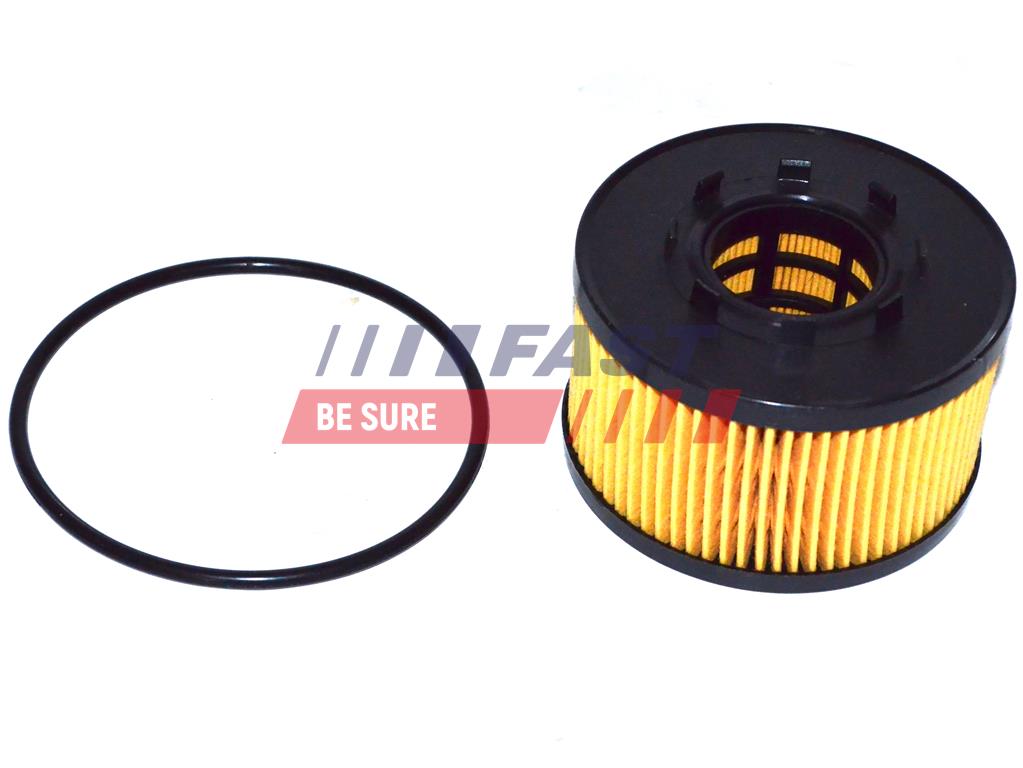 FT38086 FILTRO DE ACEITE FORD TRANSIT 00> 2.0 D/2.0 TDCI