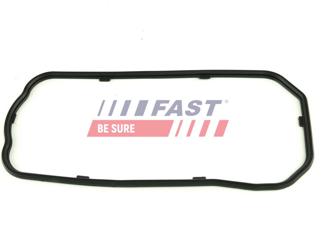 FT49206 GUARNIZIONE COPPA OLIO IVECO DAILY 00> 3.0