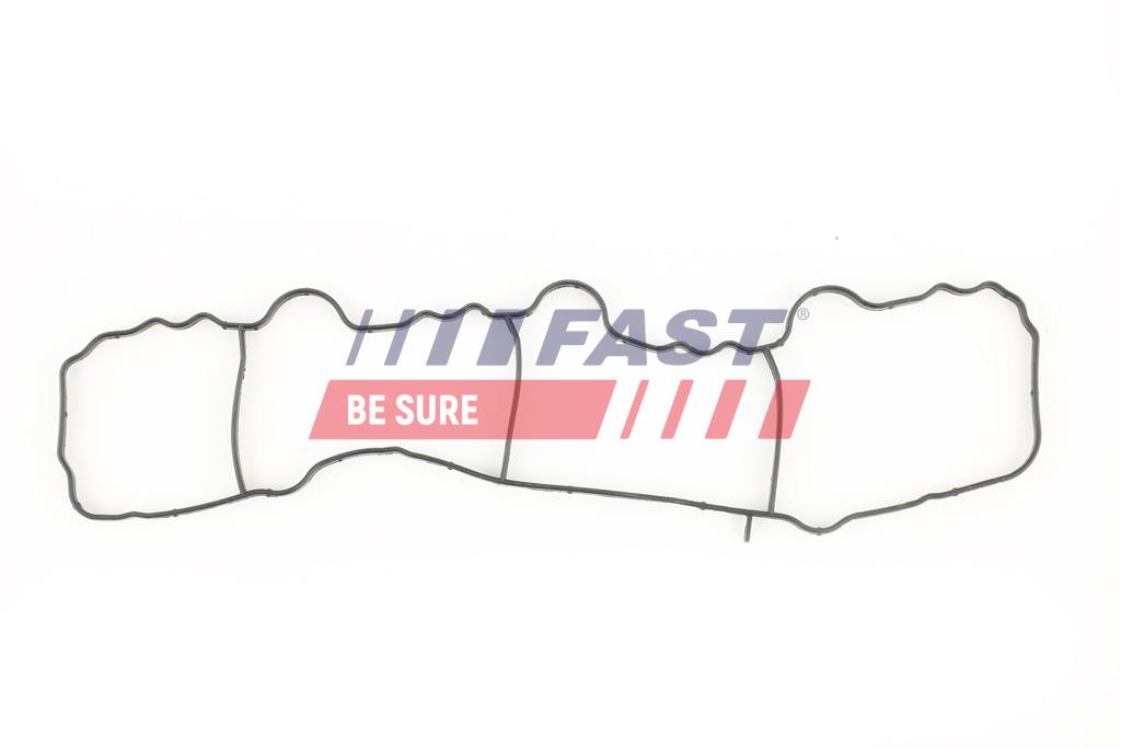 FT49430 GUARNIZIONE COLLETTORE MERCEDES SPRINTER 06> 906 DI ASPIRAZIONE CDI