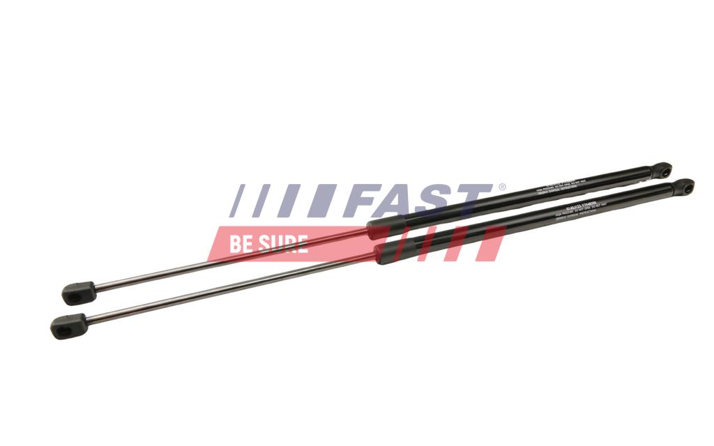 FT94805K ГАЗОВЫЙ АМОРТИЗАТОР FIAT FIORINO 07> БАГАЖНИКА КПЛ. Л+П 600mm / 670N