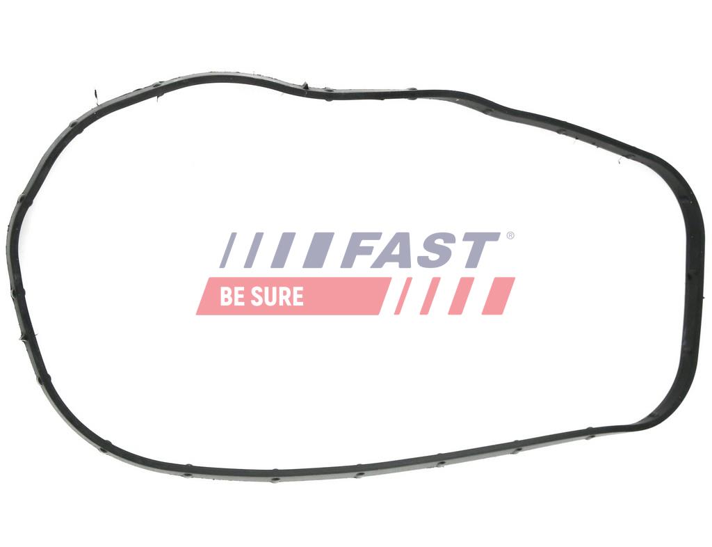 FT49065 ПРОКЛАДКА МЕХАНИЗМА ГРМ IVECO DAILY 00> ВЕРХ 3.0JTD