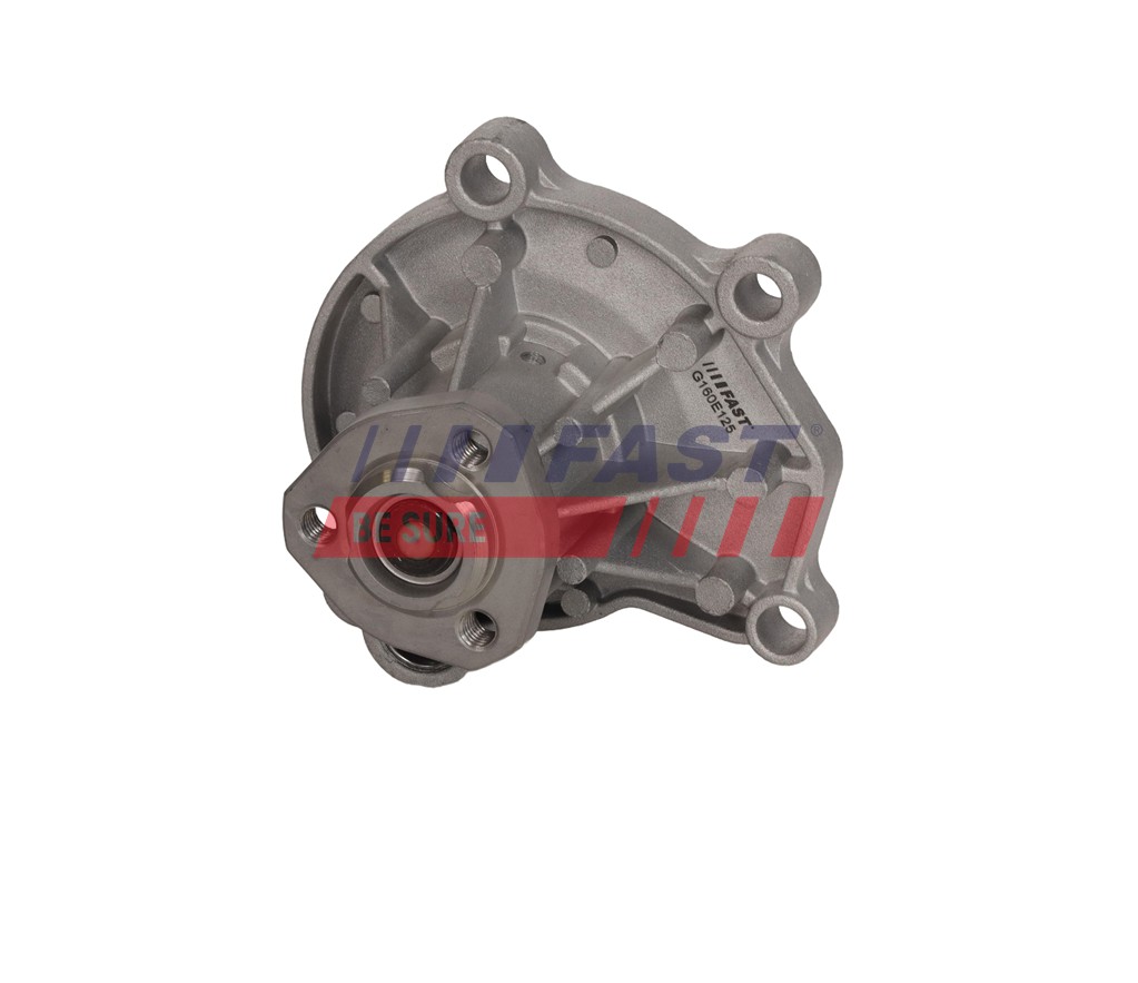 FT04470 WATER PUMP SEAT IBIZA IV 08> 1.2