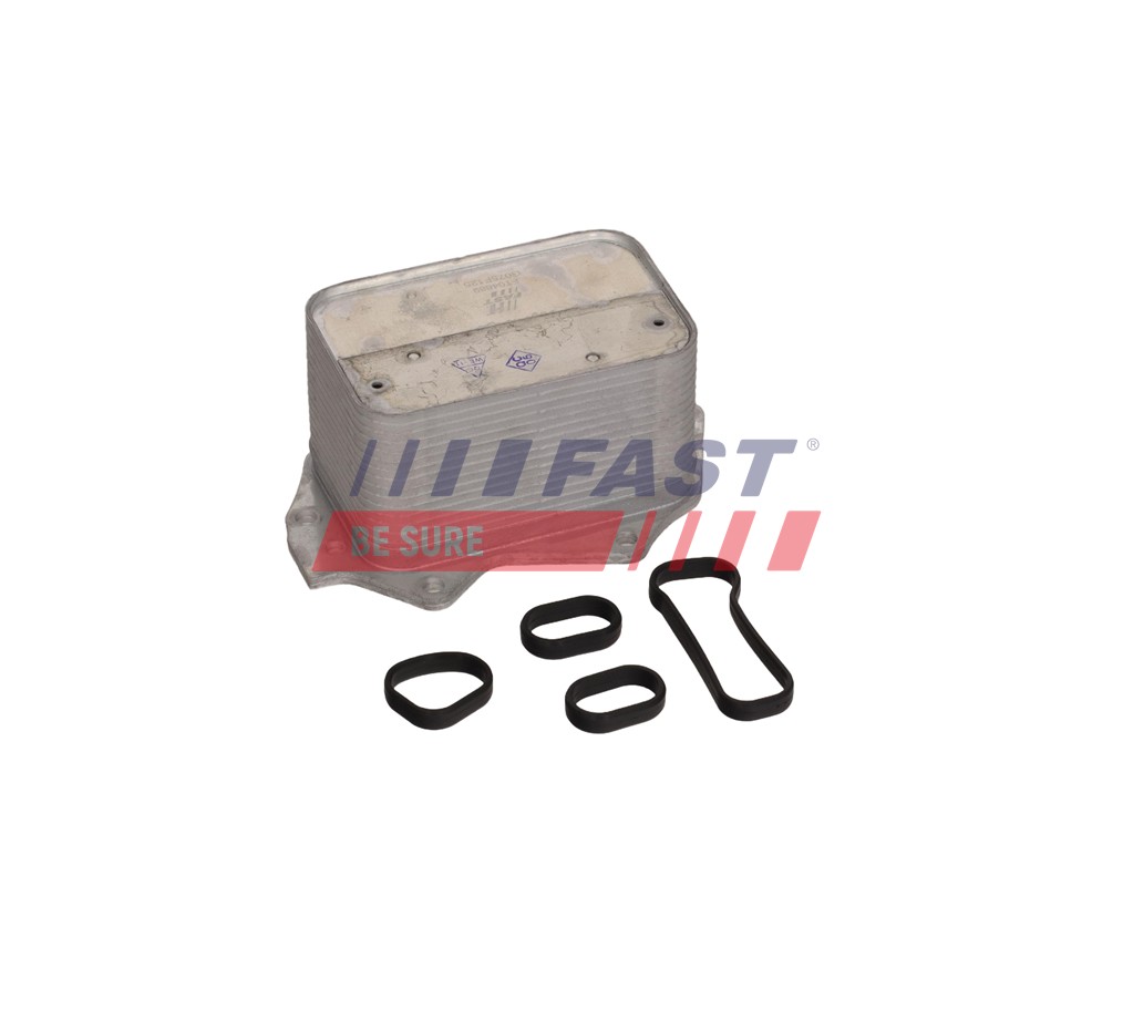 FT04689 МАСЛЯНИЙ РАДІАТОР BMW 1 F40 19>