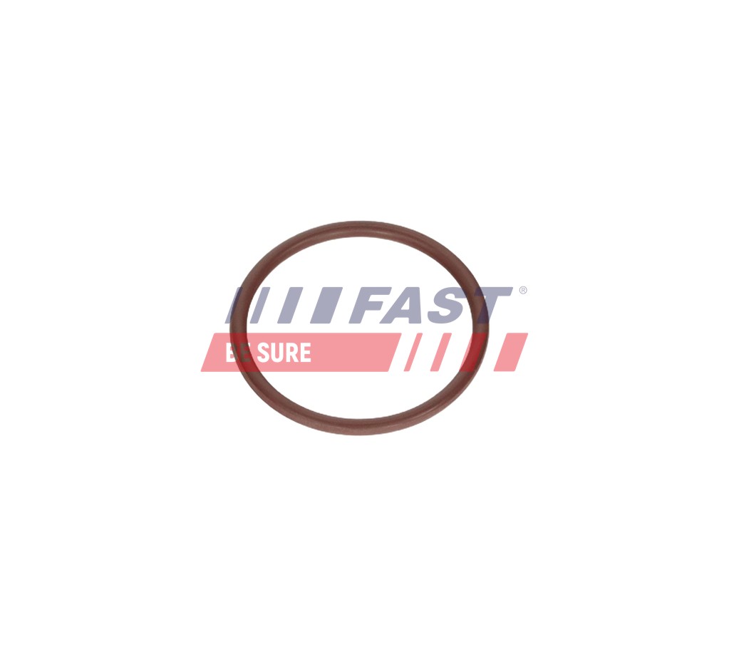 FT12925 ПРОКЛАДКА FIAT DUCATO 14>